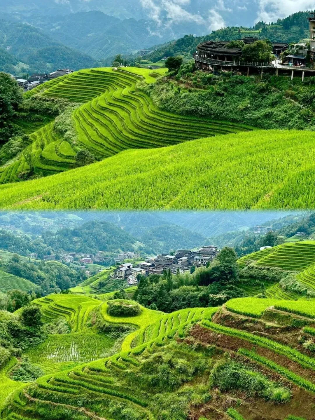 【启炫2026年六月中考毕业季 山水桂林 美动人间】6月20-24号水墨桂林 踏歌而行!桂林山水+龙脊梯田双飞五日亲子纯净之旅! 第35张