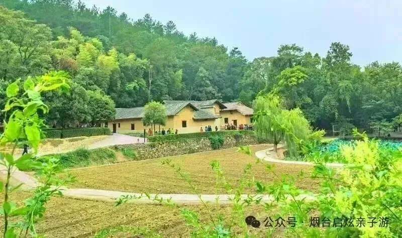 【2026启炫中考毕业季 湘约湖南私享定制  】2026年6月16-21号湖南长沙+韶山+世界级山水画卷张家界+凤凰古城双飞六日尊享亲子之旅 第9张