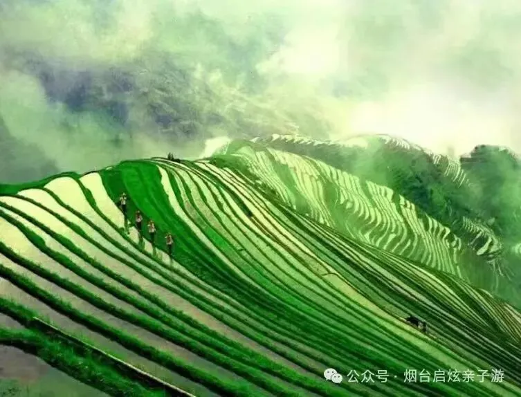 【启炫2026年六月中考毕业季 山水桂林 美动人间】6月20-24号水墨桂林 踏歌而行!桂林山水+龙脊梯田双飞五日亲子纯净之旅! 第37张