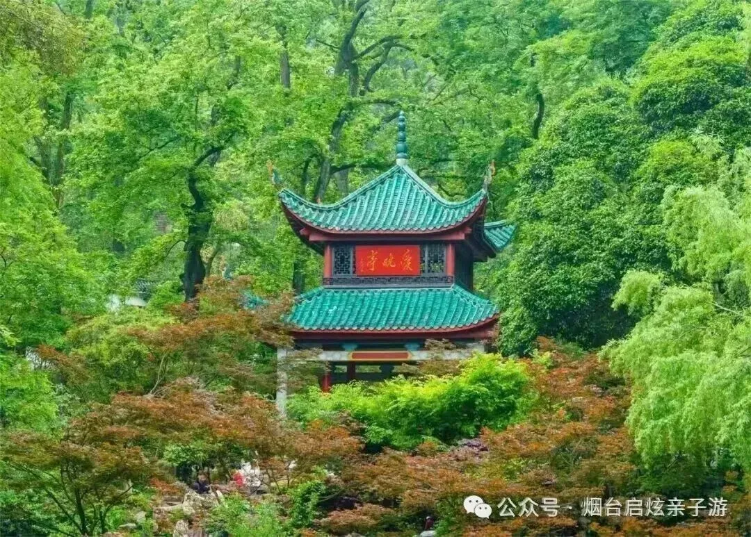 【2026启炫中考毕业季 湘约湖南私享定制  】2026年6月16-21号湖南长沙+韶山+世界级山水画卷张家界+凤凰古城双飞六日尊享亲子之旅 第19张