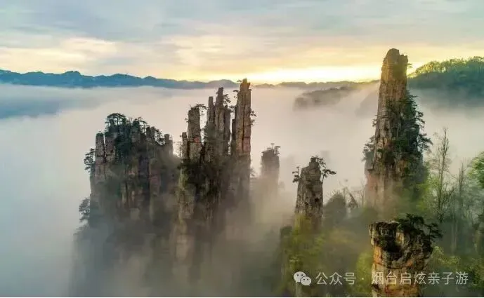 【2026启炫中考毕业季 湘约湖南私享定制  】2026年6月16-21号湖南长沙+韶山+世界级山水画卷张家界+凤凰古城双飞六日尊享亲子之旅 第23张