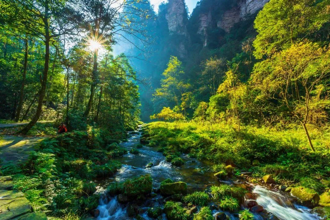 【2026启炫中考毕业季 湘约湖南私享定制  】2026年6月16-21号湖南长沙+韶山+世界级山水画卷张家界+凤凰古城双飞六日尊享亲子之旅 第32张