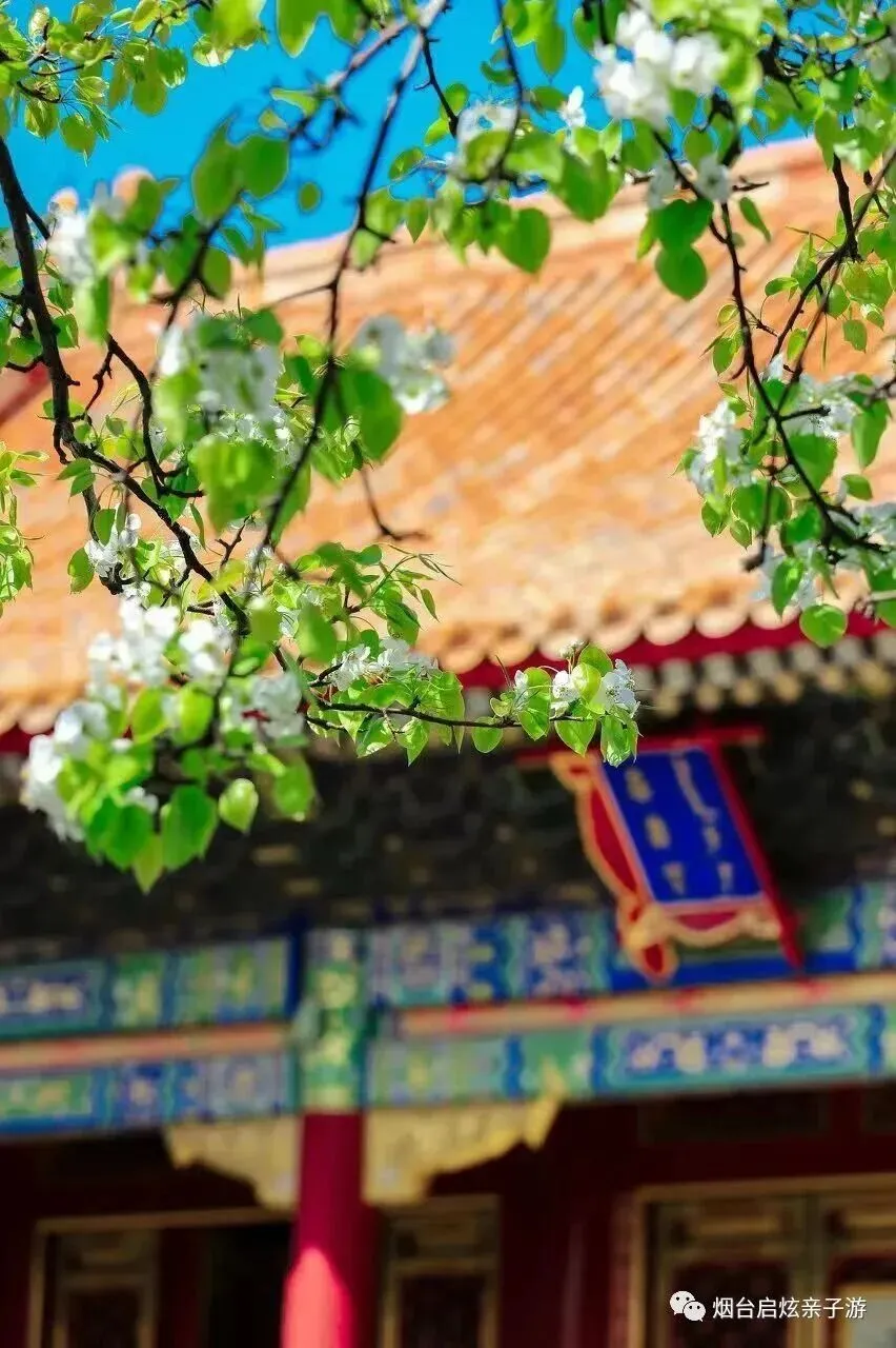 【启炫2026年六月中考毕业季 经典金牌北京】6.17-21号发团! 北京+环球影城主题乐园单飞单动五日亲子品质尊享之旅! 第16张 【启炫2026年六月中考毕业季 经典金牌北京】6.17-21号发团! 北京+环球影城主题乐园单飞单动五日亲子品质尊享之旅! 第16张