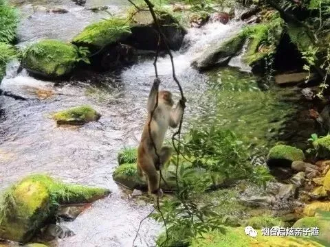 【2026启炫中考毕业季 湘约湖南私享定制  】2026年6月16-21号湖南长沙+韶山+世界级山水画卷张家界+凤凰古城双飞六日尊享亲子之旅 第34张