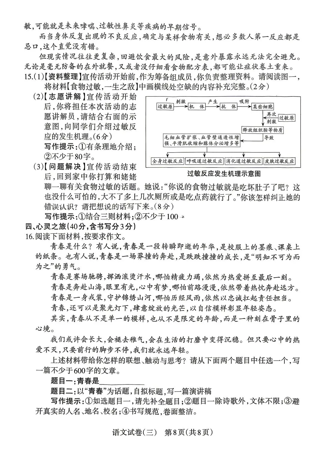 2026年九年级模拟测试(5月末) 第8张