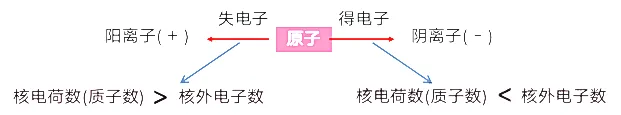 中考化学必背清单2:离子符号与结构 第2张
