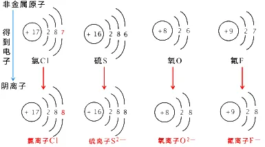 中考化学必背清单2:离子符号与结构 第4张