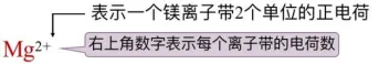 中考化学必背清单2:离子符号与结构 第5张