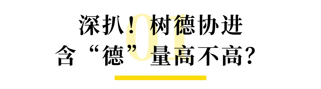 扩招力度或达全市前三,树德协进这波中考红利别错过 第5张