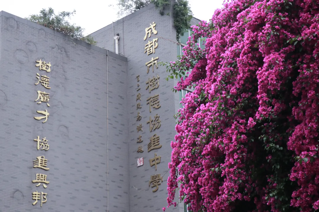 扩招力度或达全市前三,树德协进这波中考红利别错过 第6张