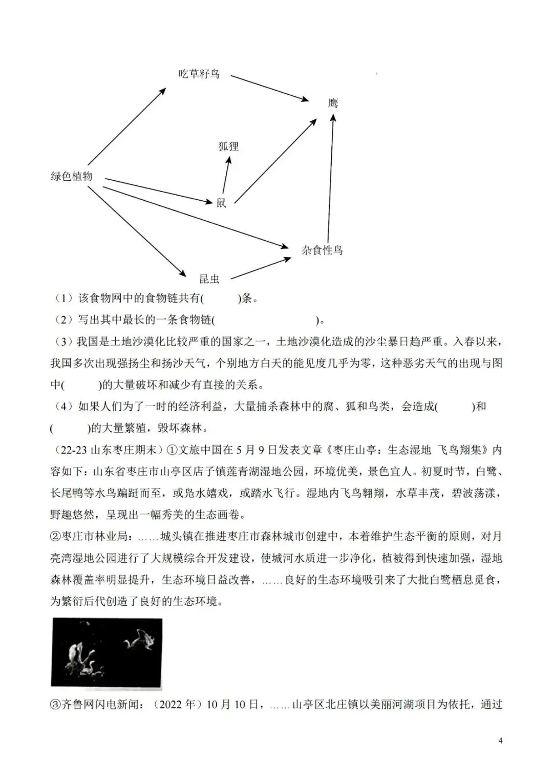 青岛六三制五年级科学第五单元历年真题汇总(电子版可打印附答案)-第4张图片-四季读书网 青岛六三制五年级科学第五单元历年真题汇总(电子版可打印附答案)-第4张图片-四季读书网