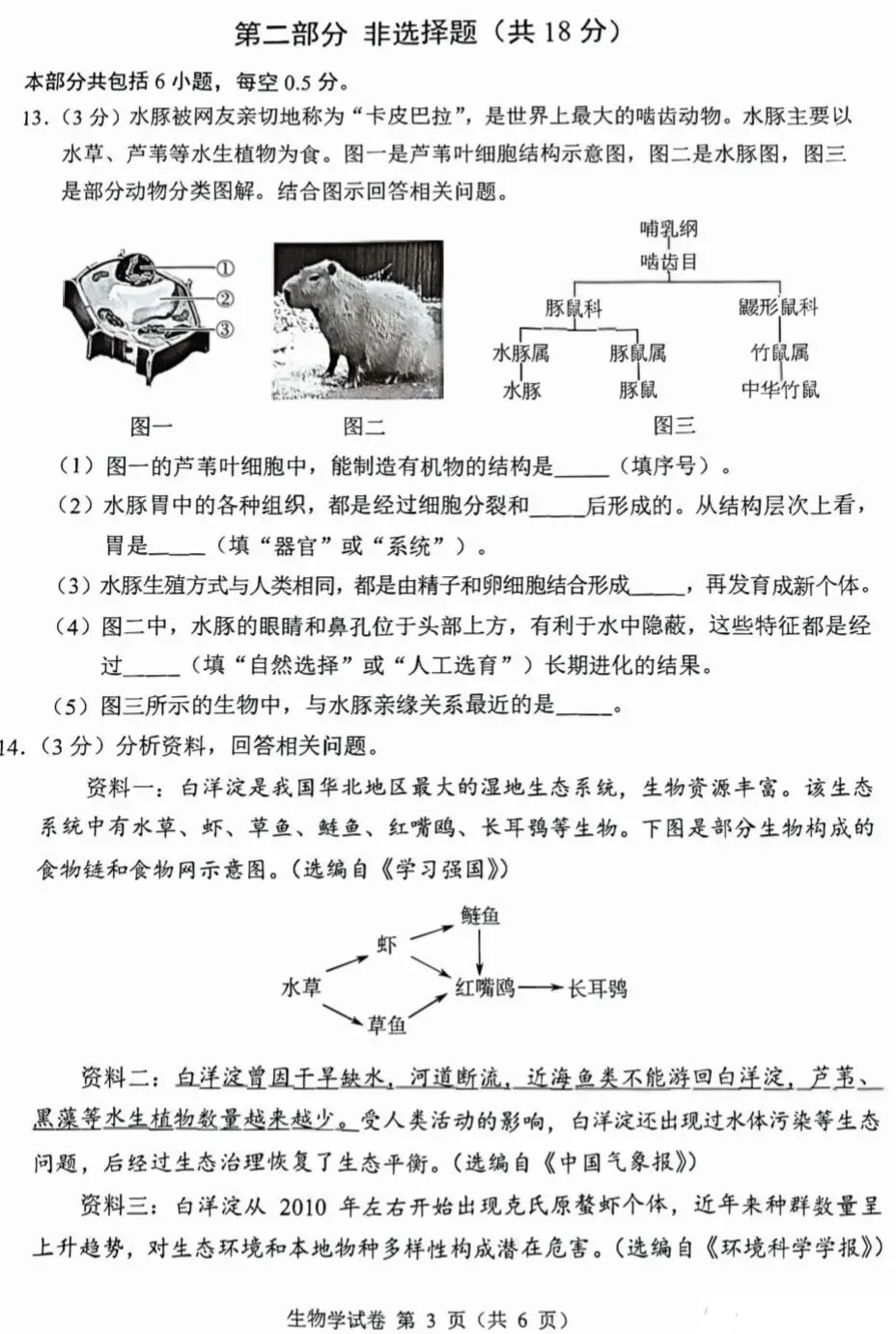 模拟题:2026年大连市中考生物模拟考试题|迎考试卷-第4张图片-四季读书网 模拟题:2026年大连市中考生物模拟考试题|迎考试卷-第4张图片-四季读书网