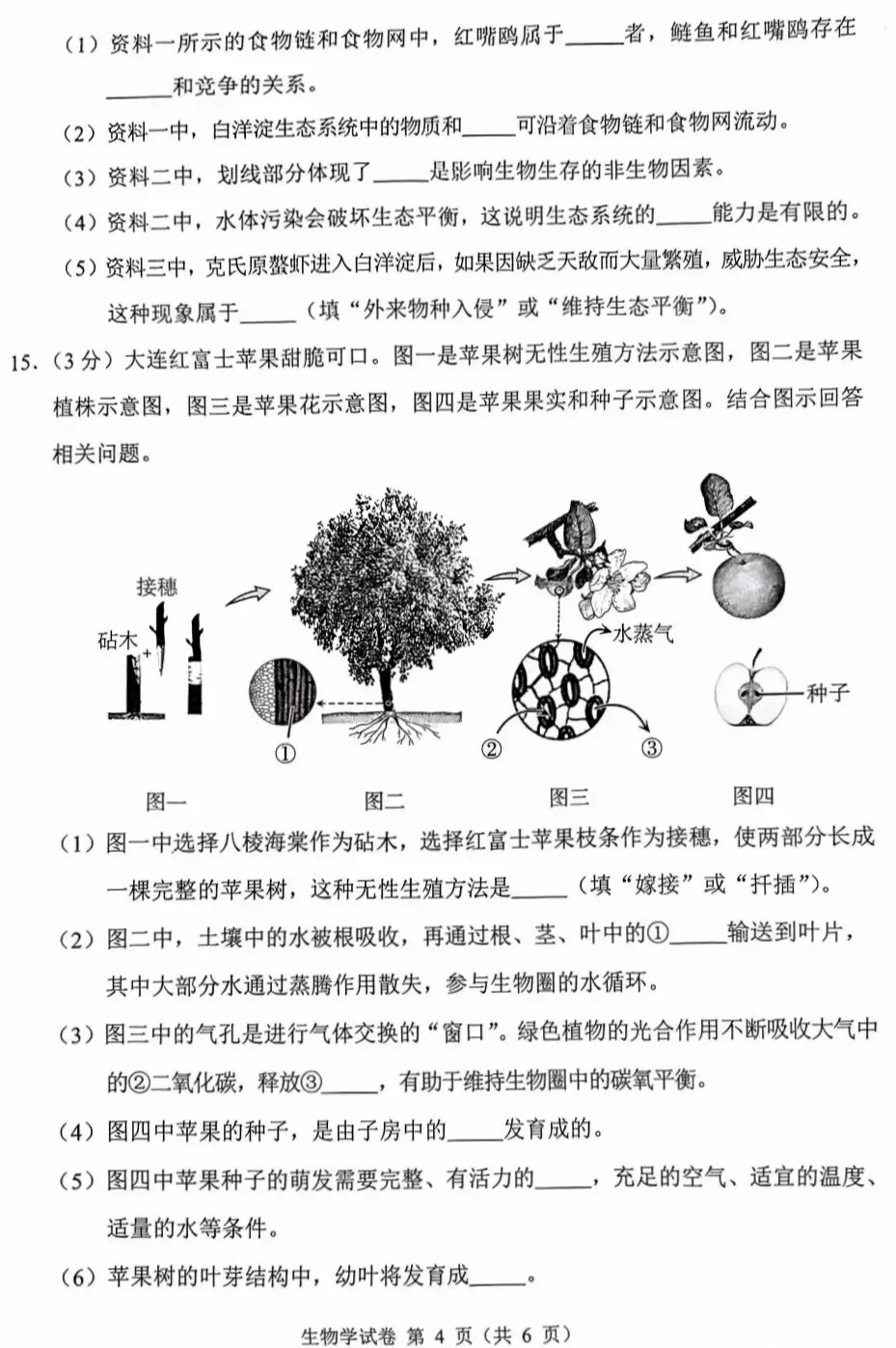 模拟题:2026年大连市中考生物模拟考试题|迎考试卷-第5张图片-四季读书网 模拟题:2026年大连市中考生物模拟考试题|迎考试卷-第5张图片-四季读书网