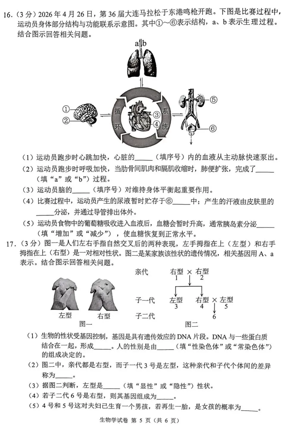 模拟题:2026年大连市中考生物模拟考试题|迎考试卷-第6张图片-四季读书网 模拟题:2026年大连市中考生物模拟考试题|迎考试卷-第6张图片-四季读书网