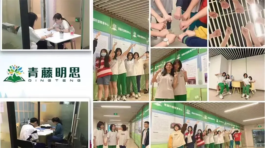 重磅!2026中考各批次高中招生计划及报考指南出炉!计划、学费、宿位!(附报考指南下载)冲刺找青藤明思教育 第84张