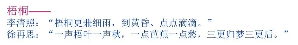 中考作文冲刺一类文:活用诗歌意象,点亮作文. 第3张