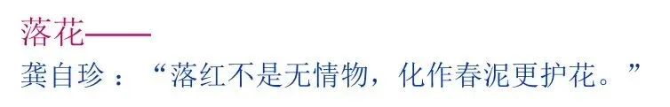 中考作文冲刺一类文:活用诗歌意象,点亮作文. 第7张