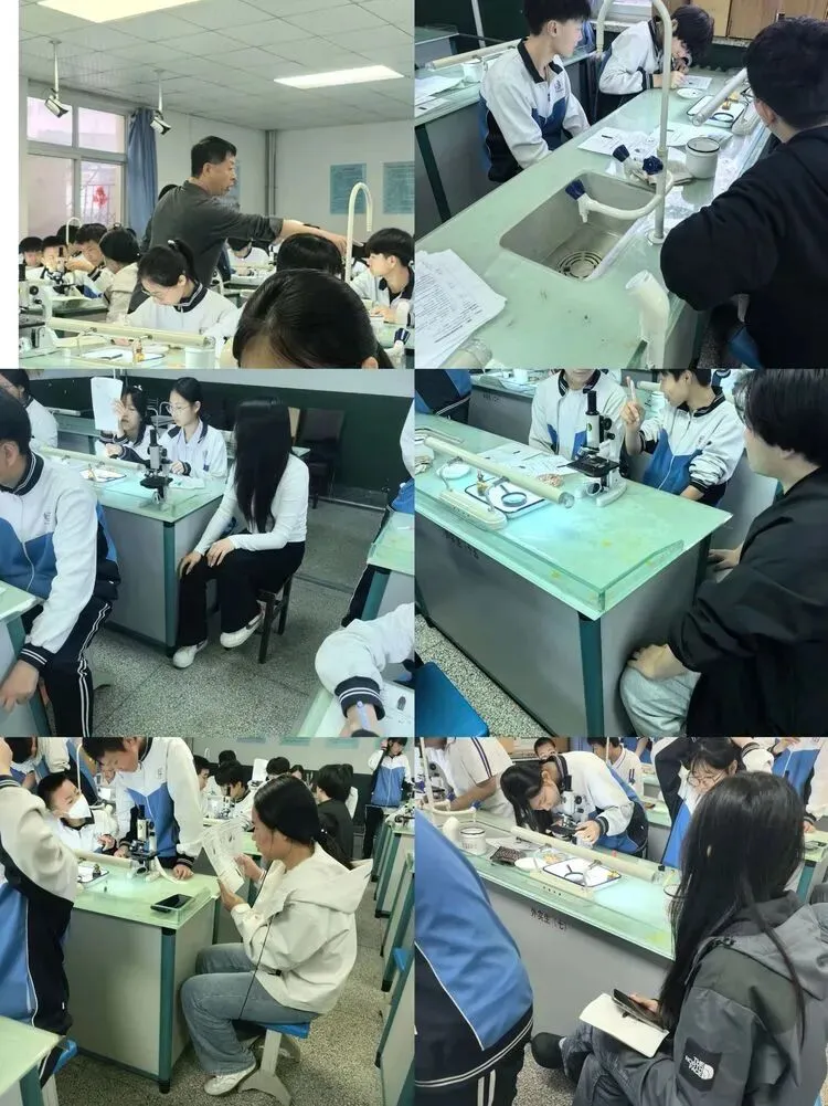 教师专栏 |八年级信息与生物实验中考纪实:致敬每一位守护者 第12张