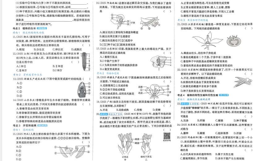 2026年【生物】会考真题-专题八《被子植物的一生》 第4张