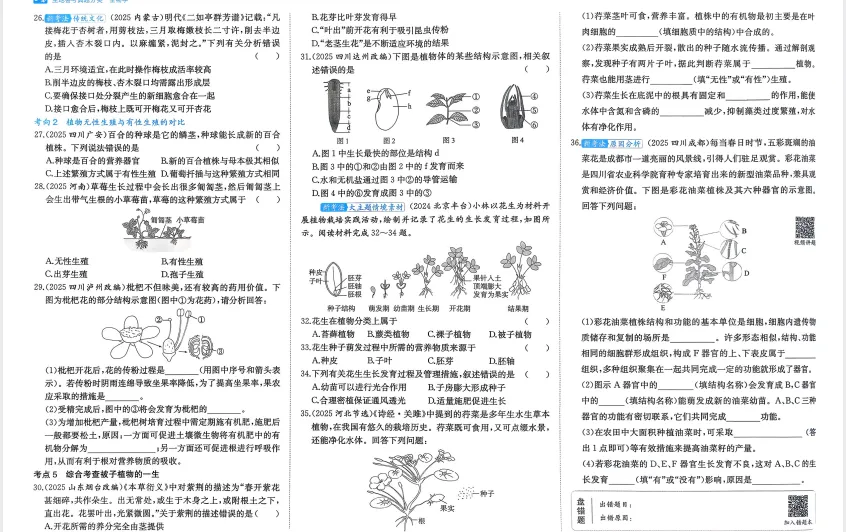 2026年【生物】会考真题-专题八《被子植物的一生》 第5张