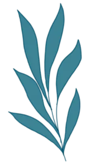 减压赋能心向暖,从容应考梦飞扬——中考心理减压技巧讲座在我校顺利进行 第21张 减压赋能心向暖,从容应考梦飞扬——中考心理减压技巧讲座在我校顺利进行 第21张