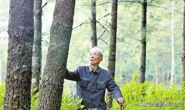 中考道法 || 【评析类】答题思路与答题技巧+例题精讲 第4张 中考道法 || 【评析类】答题思路与答题技巧+例题精讲 第4张