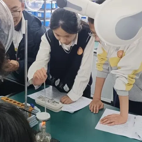 当《天工开物》遇上化学中考复习课——我们的“寻味黑井”项目式学习之旅 第61张