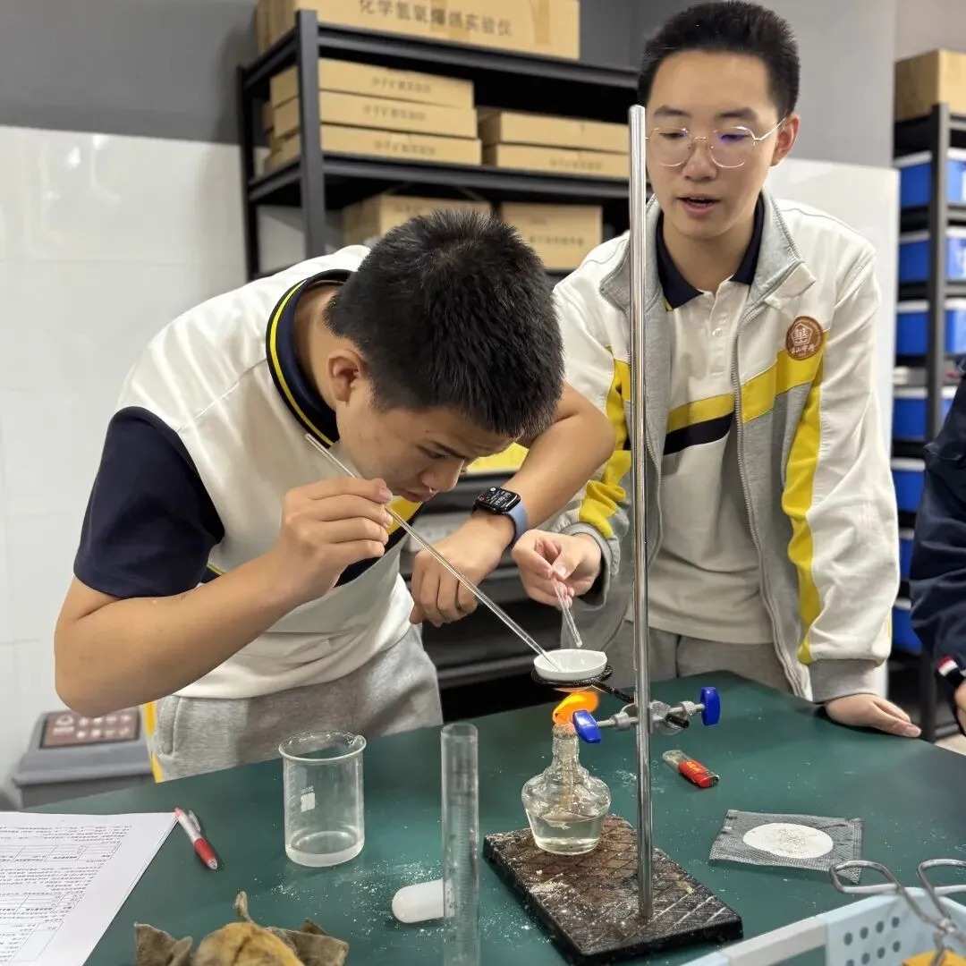 当《天工开物》遇上化学中考复习课——我们的“寻味黑井”项目式学习之旅 第71张