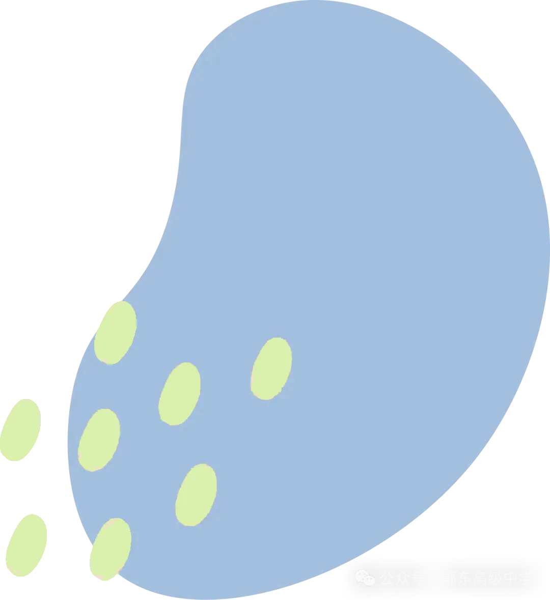 以赛促研强技能,精研真题备高考——冠县实高生物学科组开展高考题讲解大赛专题教研 第2张