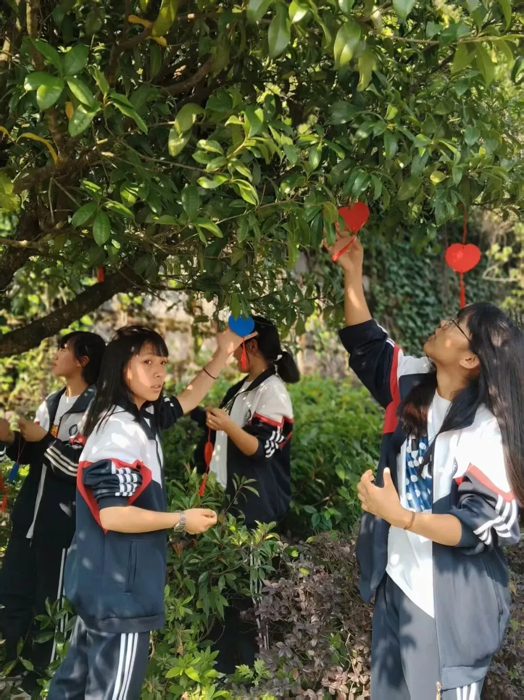 盘州市淤泥乡中学开展中考考前心理减压赋能主题活动 第4张 盘州市淤泥乡中学开展中考考前心理减压赋能主题活动 第4张