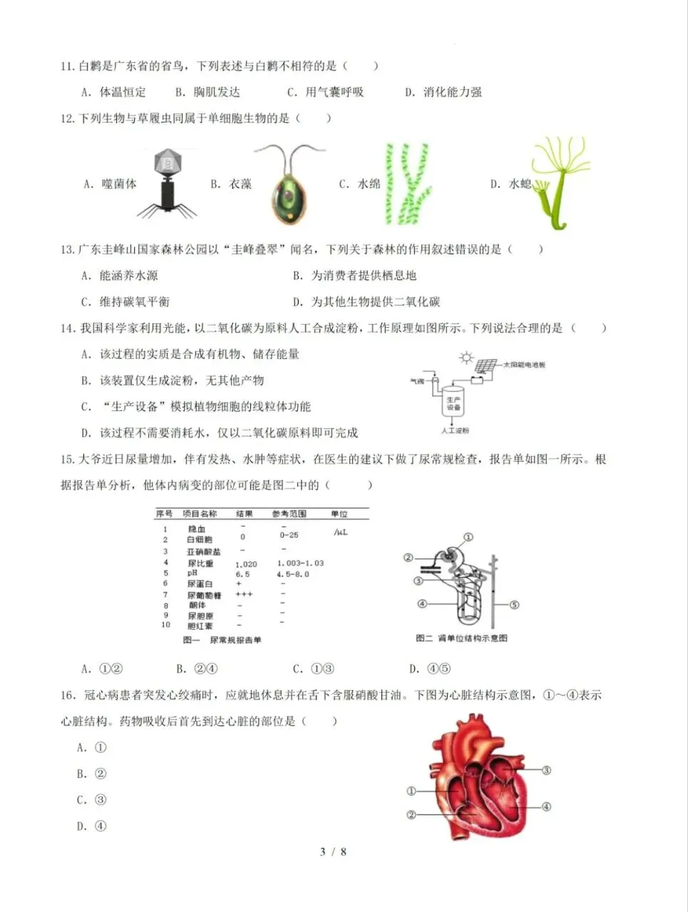 (会考倒计时)2026广东中考生物八模模拟卷 (有答案,后附下载方式) 第4张