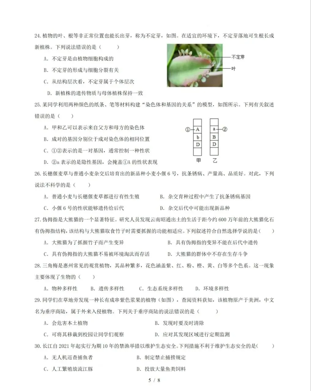 (会考倒计时)2026广东中考生物八模模拟卷 (有答案,后附下载方式) 第5张