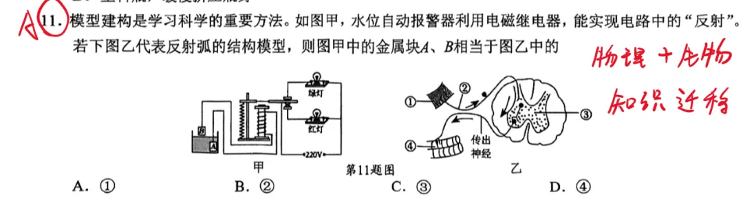 2026年5月慈溪中考二模【科学】试卷整评+题型解析,内附试卷及答案! 第5张