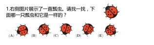 2026年袋鼠数学竞赛真题!LevelA-F全等级真题+答案免费领取!-第4张图片-四季读书网