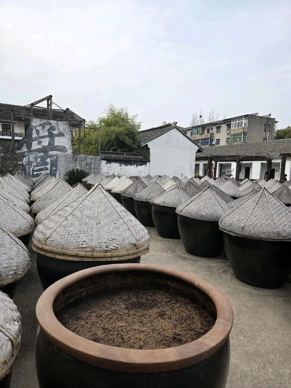 酱油酿造·五星好素材·写遍近五年广州中考作文(一) 第1张