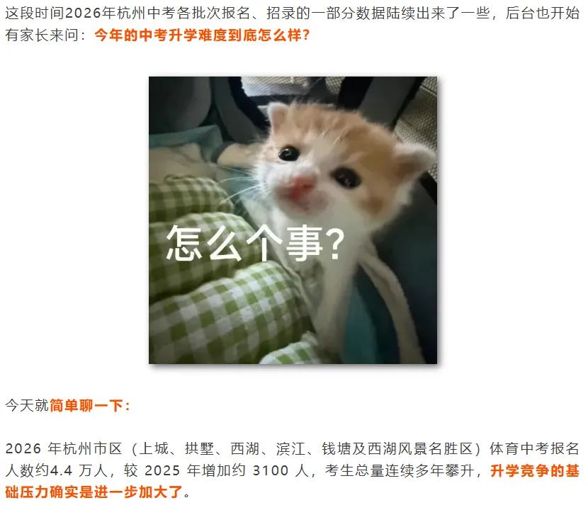 2026 杭州中考新格局:普高录取放宽,重点高中裸考内卷加剧 第3张