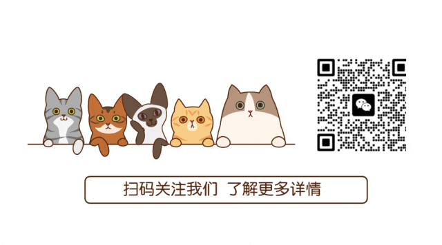 为梦想导航,向理想高中进军!中考集训重磅来袭 第21张