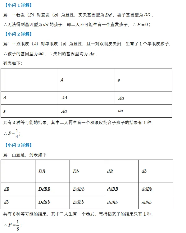 2026上海中考数学新题型——跨学科融合题目解法分析(建议收藏) 第23张
