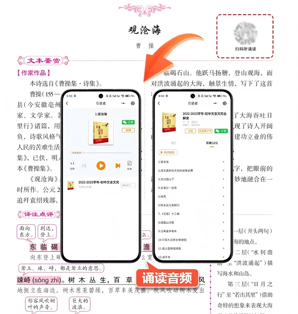 中考临近!如何在有限的时间内理顺三年文言所学 第12张