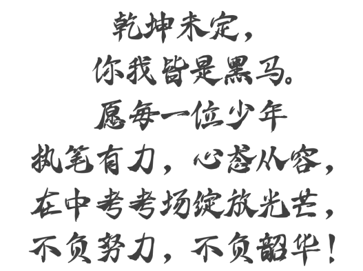 积极赋能,笑迎中考 第47张
