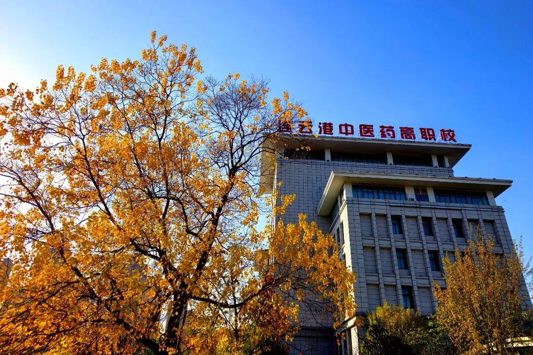 中考招生 | 2026年江苏省连云港中医药高等职业技术学校招生简章 第3张