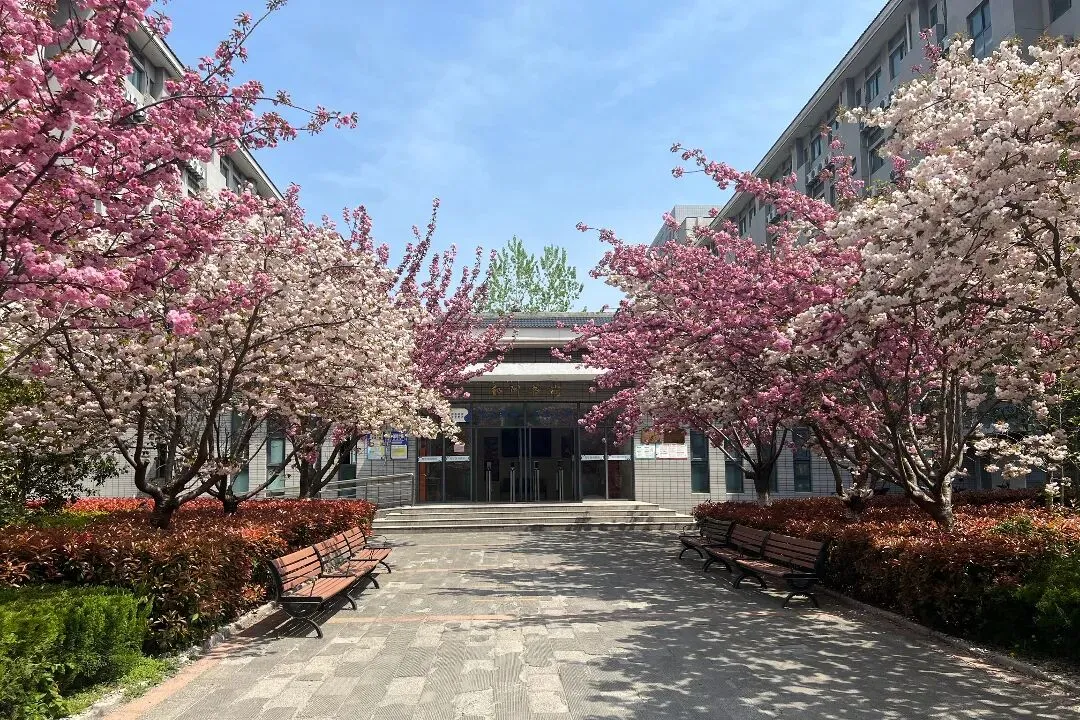 中考招生 | 2026年江苏省连云港中医药高等职业技术学校招生简章 第9张
