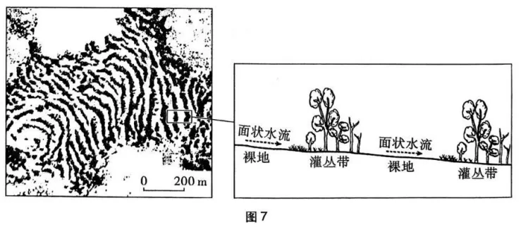 2025年河南卷地理高考真题:第19题.水循环地表径流下渗土壤含水量、植被演替草本灌木枯木、撒哈拉沙漠南缘萨赫勒地区——官方答案与解析 第1张