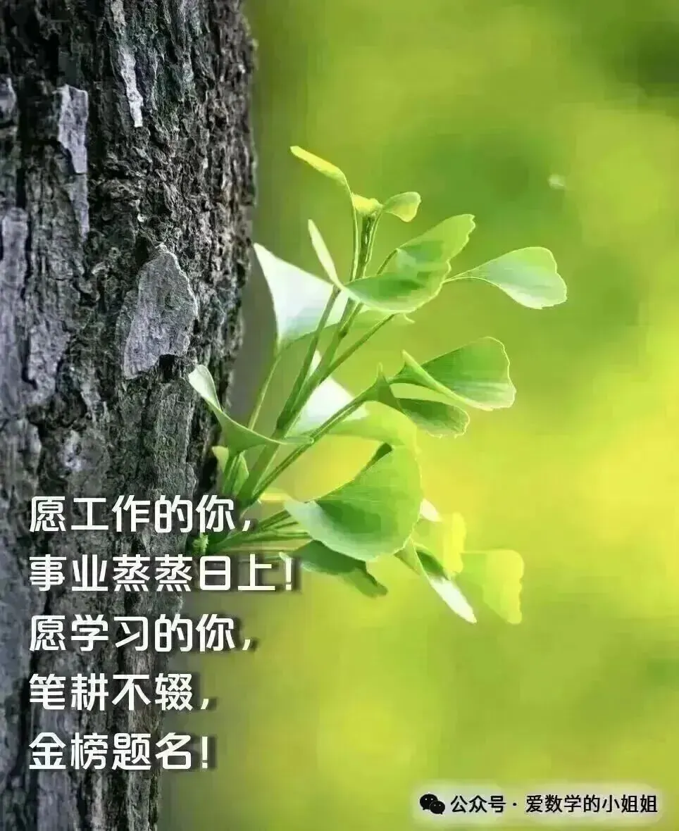 2026年《中考数学终极押题猜想》(29个省市专版+全国通版)带解析,结合最新考情,冲刺!高清电子版 第17张