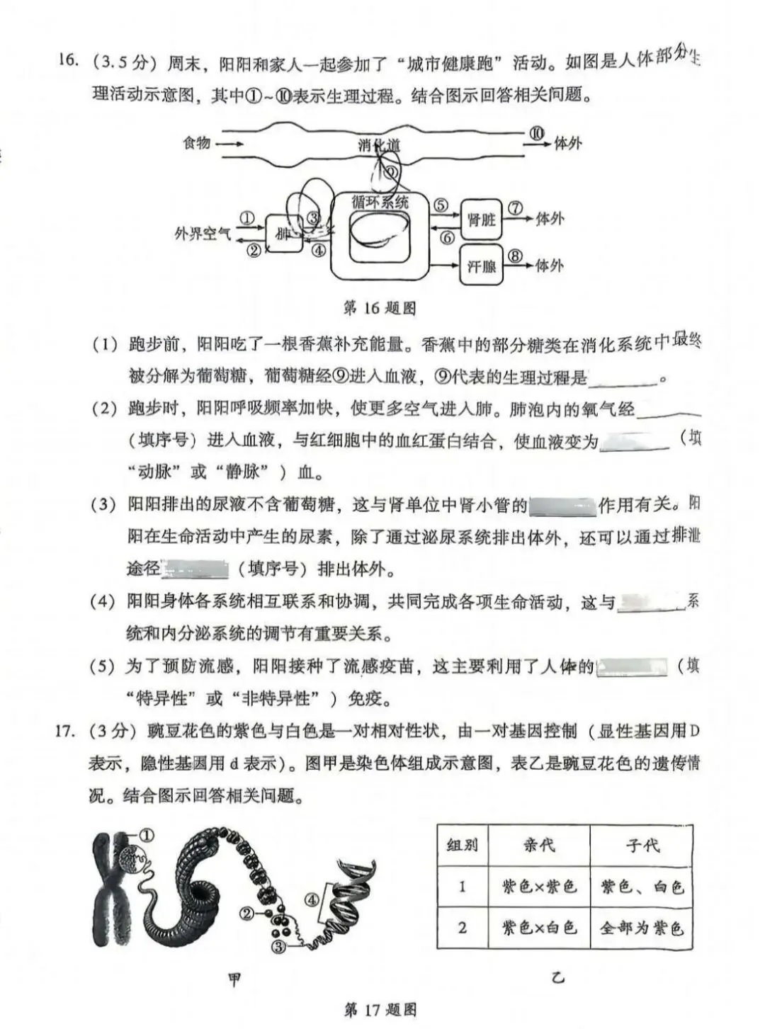 2026辽宁沈阳中考生物模拟 第5张