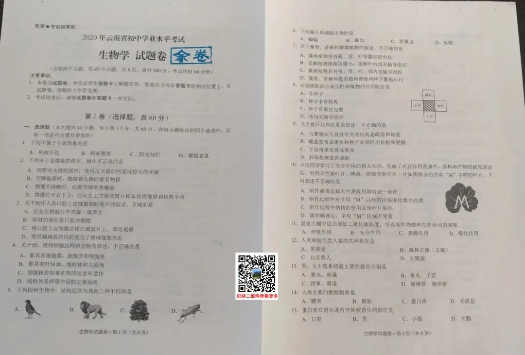 2020年云南(中考)初中学业水平考试试卷及参考答案出炉 第11张