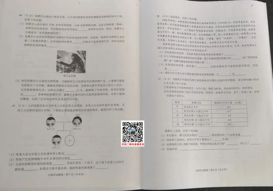2020年云南(中考)初中学业水平考试试卷及参考答案出炉 第13张