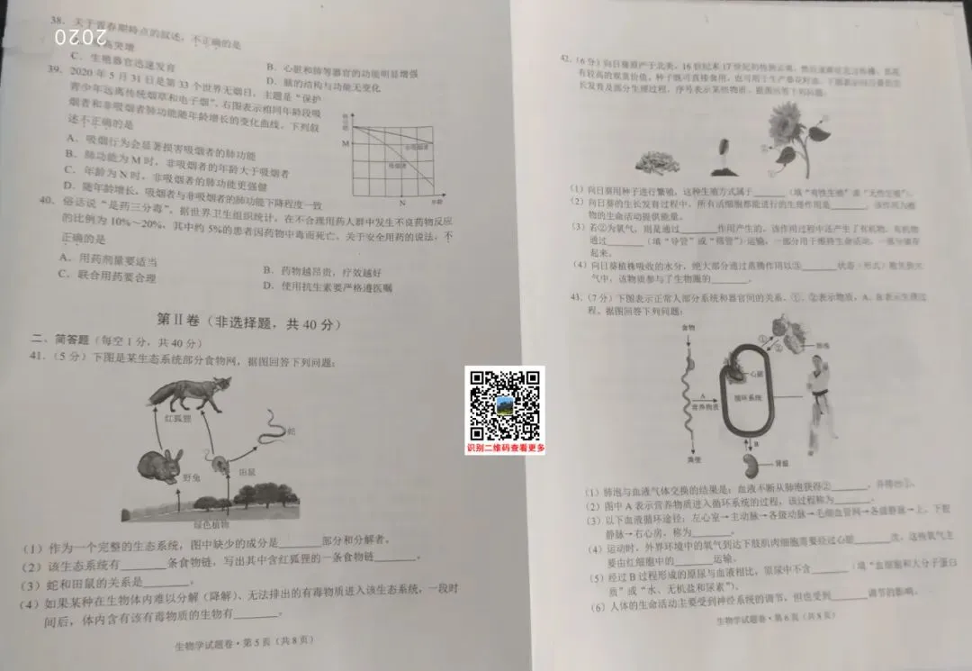 2020年云南(中考)初中学业水平考试试卷及参考答案出炉 第14张