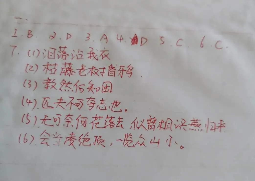 2020年云南(中考)初中学业水平考试试卷及参考答案出炉 第19张