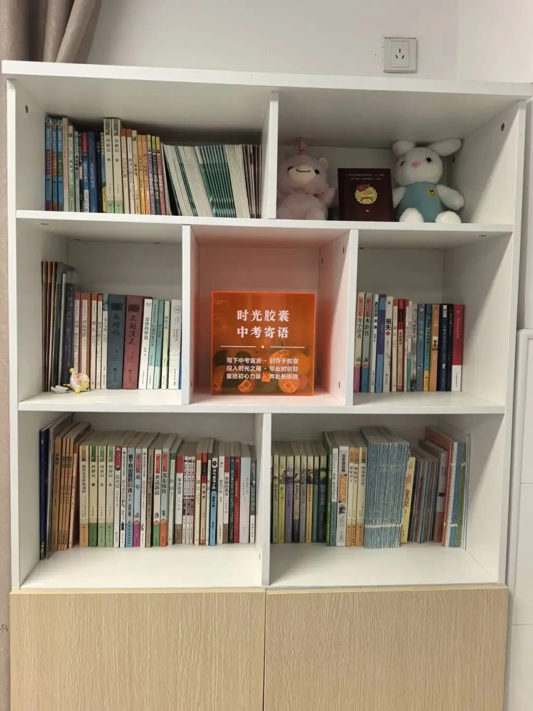 【博雅教育·花园·心理】“致中考后的自己”——九年级心理季特色活动 第31张
